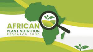 2023 Africa Plant Nutrition Scholarship Program for African Students