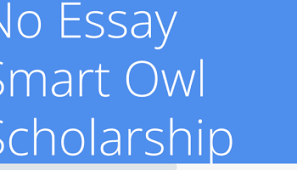 $2 222 no essay smart owl scholarship